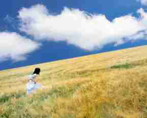 java后‌端‌需‍要﻿掌‍握‍的​知‌识​和​技‍能‌